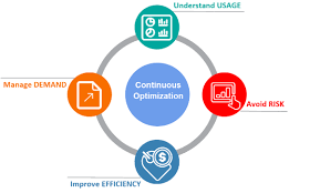 Continuous Optimization